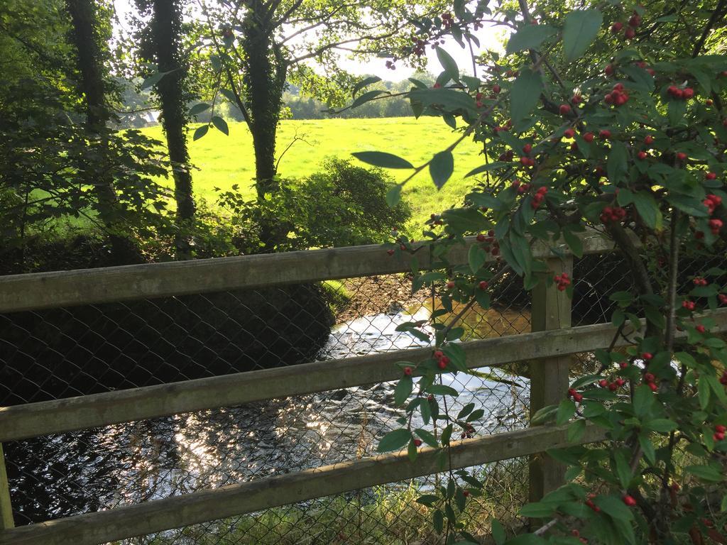 Riverbank, Country Pub And Guesthouse Carrickmacross Exterior photo